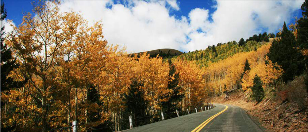 Plentiful Wildlife Mountain Views - Ruidoso Home Tours